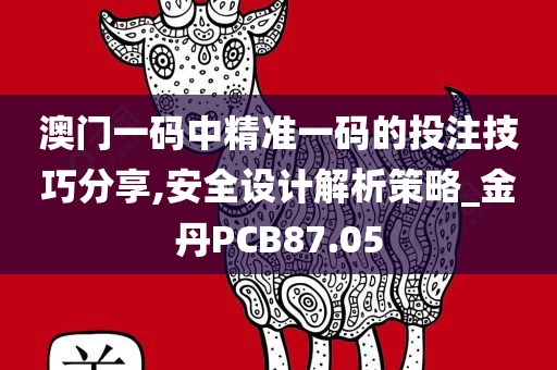 澳门一码中精准一码的投注技巧分享,安全设计解析策略_金丹PCB87.05