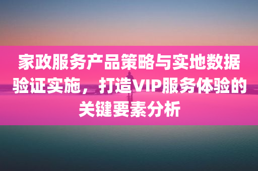 家政服务产品策略与实地数据验证实施，打造VIP服务体验的关键要素分析