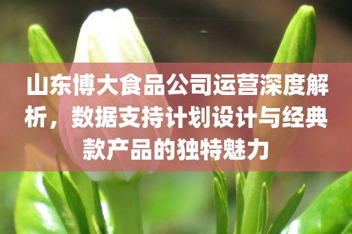 山东博大食品公司运营深度解析，数据支持计划设计与经典款产品的独特魅力