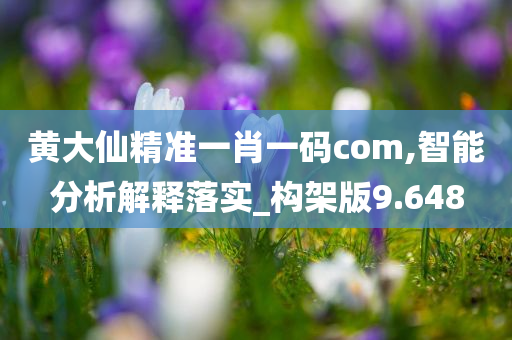 黄大仙精准一肖一码com,智能分析解释落实_构架版9.648