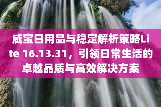 威宝日用品与稳定解析策略Lite 16.13.31，引领日常生活的卓越品质与高效解决方案