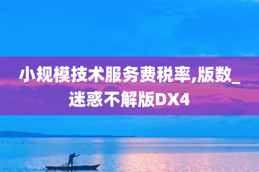 小规模技术服务费税率,版数_迷惑不解版DX4