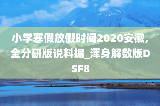 小学寒假放假时间2020安徽,全分研版说料据_浑身解数版DSF8