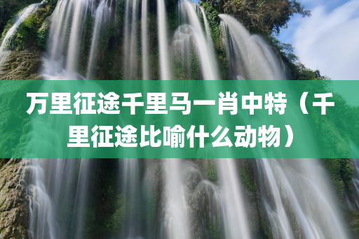 万里征途千里马一肖中特（千里征途比喻什么动物）