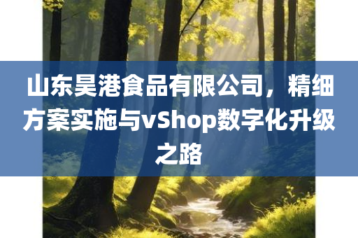 山东昊港食品有限公司，精细方案实施与vShop数字化升级之路