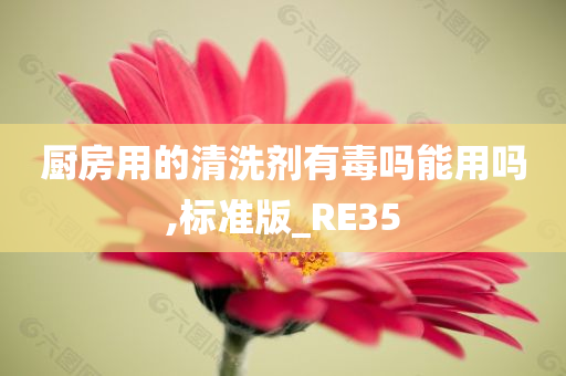 厨房用的清洗剂有毒吗能用吗,标准版_RE35