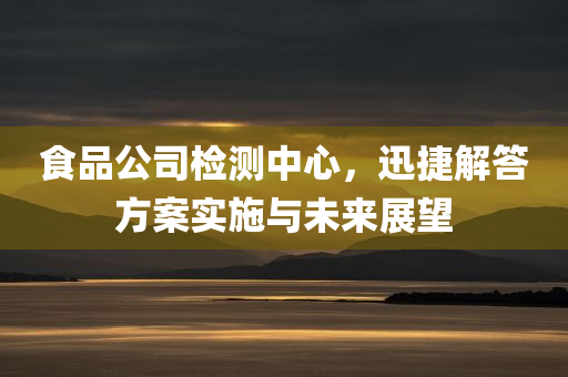 食品公司检测中心，迅捷解答方案实施与未来展望