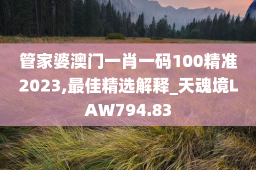 管家婆澳门一肖一码100精准2023,最佳精选解释_天魂境LAW794.83