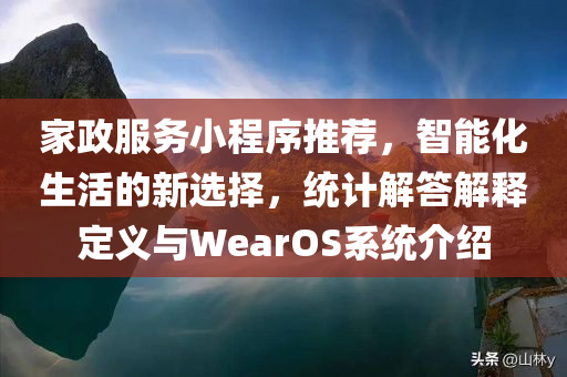 家政服务小程序推荐，智能化生活的新选择，统计解答解释定义与WearOS系统介绍