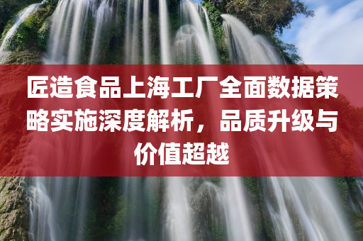 匠造食品上海工厂全面数据策略实施深度解析，品质升级与价值超越