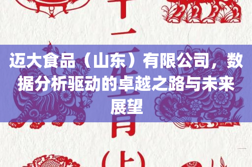 迈大食品（山东）有限公司，数据分析驱动的卓越之路与未来展望