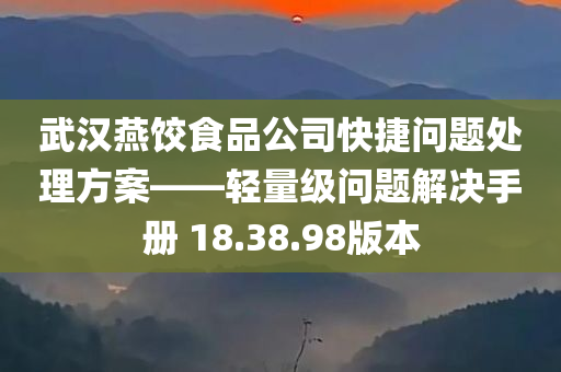 武汉燕饺食品公司快捷问题处理方案——轻量级问题解决手册 18.38.98版本