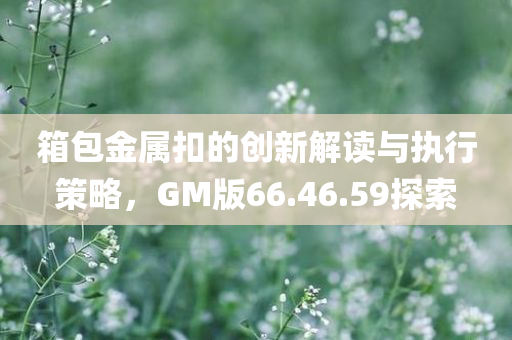 箱包金属扣的创新解读与执行策略，GM版66.46.59探索