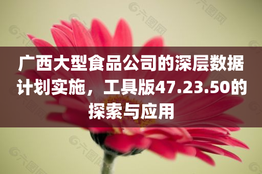 广西大型食品公司的深层数据计划实施，工具版47.23.50的探索与应用