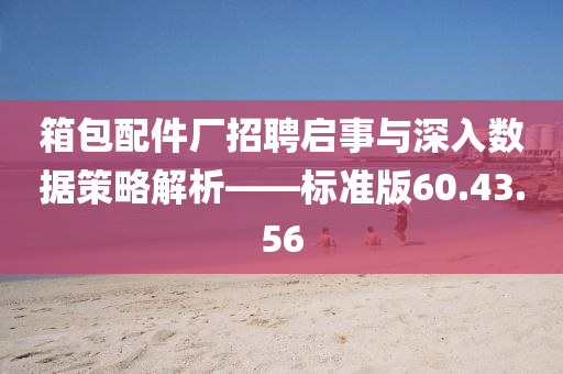 箱包配件厂招聘启事与深入数据策略解析——标准版60.43.56