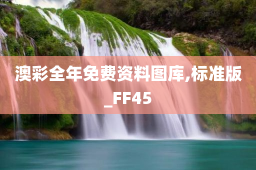 澳彩全年免费资料图库,标准版_FF45