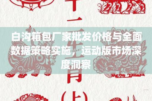 白沟箱包厂家批发价格与全面数据策略实施，运动版市场深度洞察