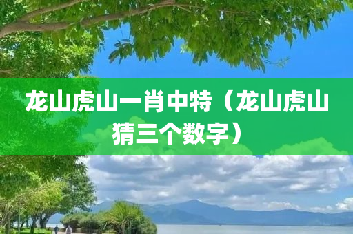 龙山虎山一肖中特（龙山虎山猜三个数字）