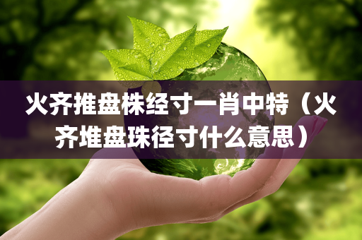 火齐推盘株经寸一肖中特（火齐堆盘珠径寸什么意思）