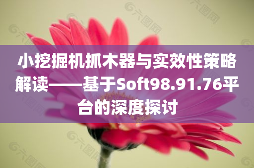 小挖掘机抓木器与实效性策略解读——基于Soft98.91.76平台的深度探讨