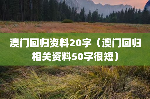 澳门回归资料20字（澳门回归相关资料50字很短）