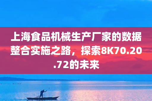 上海食品机械生产厂家的数据整合实施之路，探索8K70.20.72的未来