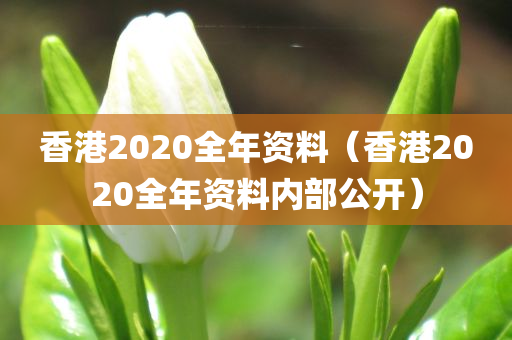 香港2020全年资料（香港2020全年资料内部公开）