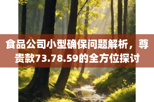 食品公司小型确保问题解析，尊贵款73.78.59的全方位探讨