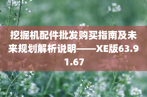 挖掘机配件批发购买指南及未来规划解析说明——XE版63.91.67