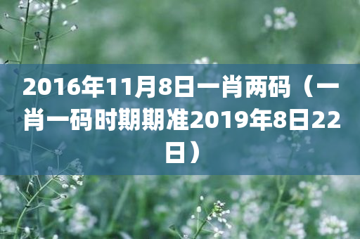 2016年11月8日一肖两码（一肖一码时期期准2019年8日22日）