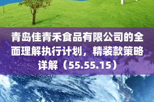 青岛佳青禾食品有限公司的全面理解执行计划，精装款策略详解（55.55.15）