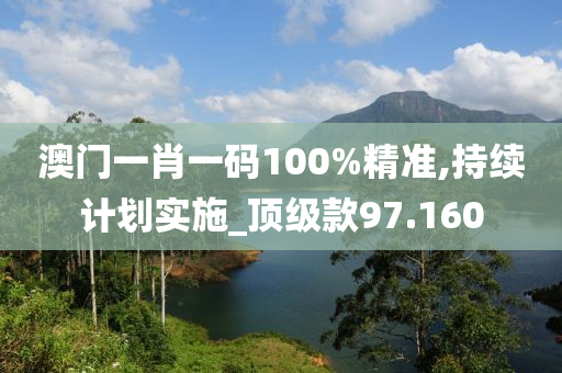 澳门一肖一码100%精准,持续计划实施_顶级款97.160