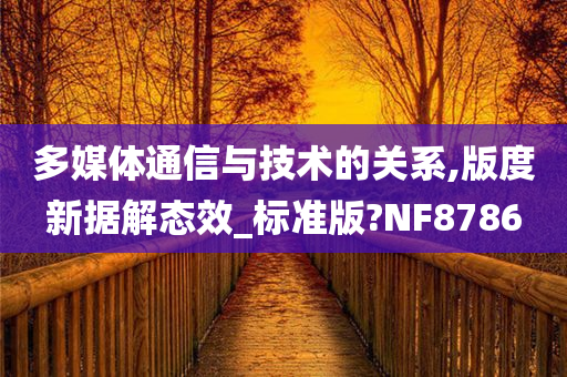 多媒体通信与技术的关系,版度新据解态效_标准版?NF8786