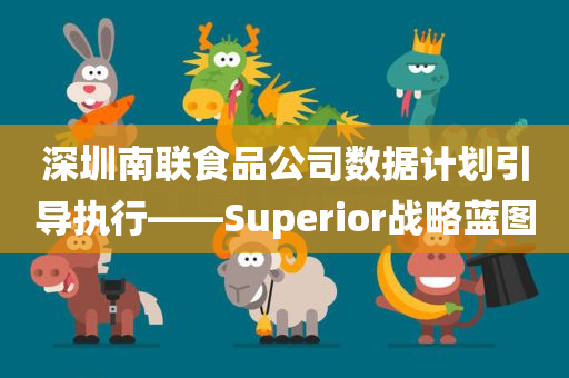 深圳南联食品公司数据计划引导执行——Superior战略蓝图