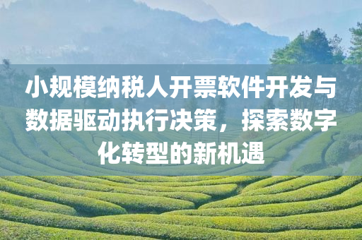 小规模纳税人开票软件开发与数据驱动执行决策，探索数字化转型的新机遇