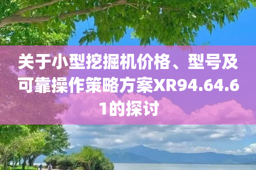 关于小型挖掘机价格、型号及可靠操作策略方案XR94.64.61的探讨