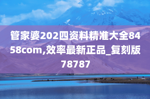 管家婆202四资料精准大全8458com,效率最新正品_复刻版78787