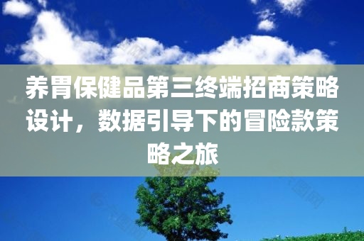 养胃保健品第三终端招商策略设计，数据引导下的冒险款策略之旅