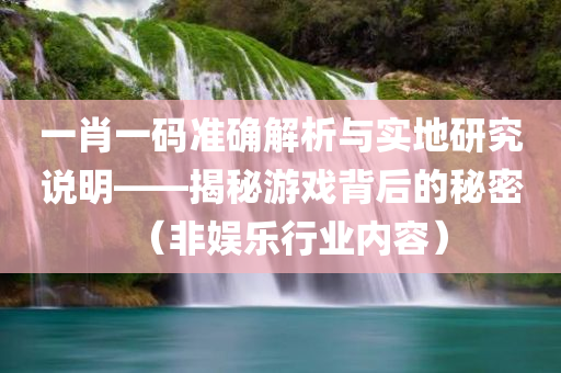 一肖一码准确解析与实地研究说明——揭秘游戏背后的秘密（非娱乐行业内容）