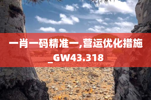 一肖一码精准一,营运优化措施_GW43.318