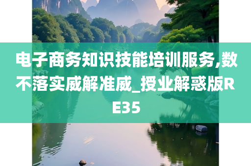 电子商务知识技能培训服务,数不落实威解准威_授业解惑版RE35