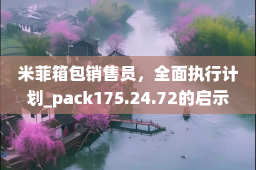 米菲箱包销售员，全面执行计划_pack175.24.72的启示