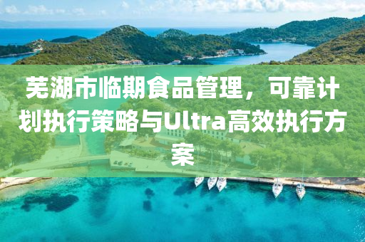 芜湖市临期食品管理，可靠计划执行策略与Ultra高效执行方案