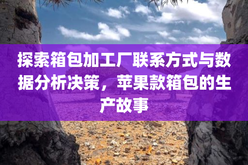 探索箱包加工厂联系方式与数据分析决策，苹果款箱包的生产故事