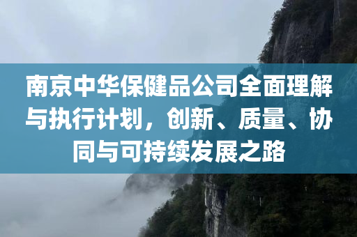 南京中华保健品公司全面理解与执行计划，创新、质量、协同与可持续发展之路