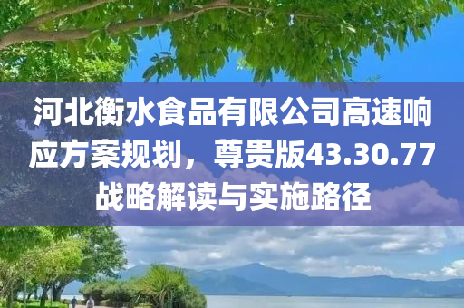 河北衡水食品有限公司高速响应方案规划，尊贵版43.30.77战略解读与实施路径