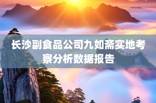 长沙副食品公司九如斋实地考察分析数据报告