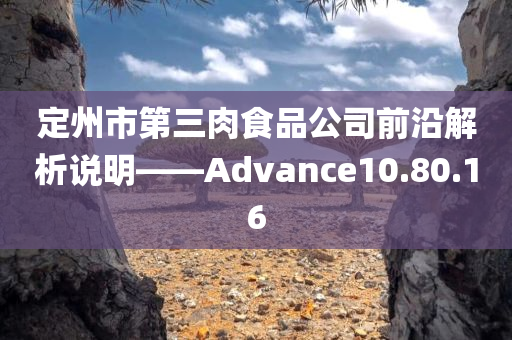 定州市第三肉食品公司前沿解析说明——Advance10.80.16