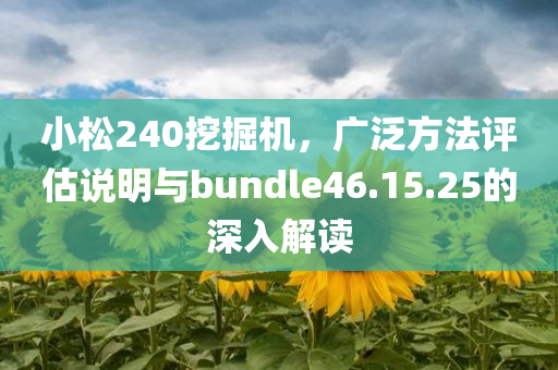 小松240挖掘机，广泛方法评估说明与bundle46.15.25的深入解读