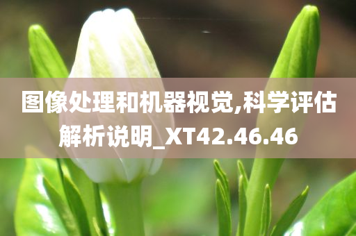 图像处理和机器视觉,科学评估解析说明_XT42.46.46